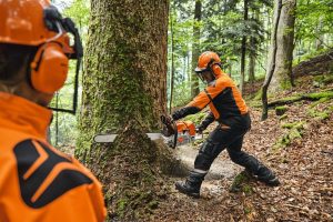 STIHL MS 881 Benzin-Motorsäge | .404″ RS Schneidgarnitur 75 cm