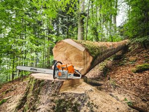 STIHL MS 881 Benzin-Motorsäge | .404″ RS Schneidgarnitur 75 cm