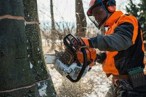 STIHL MS 661 C-M Benzin-Motorsäge | 3/8″ RS Schneidgarnitur 50 cm