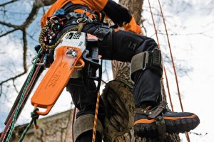 STIHL MS 201 TC-M Benzin-Motorsäge | 3/8″ PS3 Pro Schneidgarnitur 30 cm