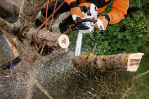 STIHL MS 201 TC-M Benzin-Motorsäge | 3/8″ PS3 Pro Schneidgarnitur 30 cm