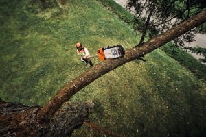 STIHL HTA 160 Akku-Hochentaster | 1/4″ PM3 Schneidgarnitur 30 cm