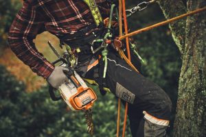 STIHL MSA 220 T Akku-Kettensäge | 3/8″ PS3 Pro Schneidgarnitur 35 cm