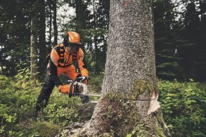 STIHL MS 400 C-M VW Benzin-Motorsäge | 3/8″ RS Schneidgarnitur 45 cm