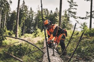 STIHL MS 400 C-M VW Benzin-Motorsäge | 3/8″ RS Schneidgarnitur 45 cm