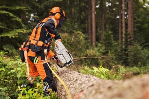 STIHL MS 400 C-M VW Benzin-Motorsäge | 3/8″ RS Schneidgarnitur 45 cm