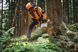 STIHL MS 300 C-M Benzin-Motorsäge | .325″ RS Pro Schneidgarnitur 40 cm