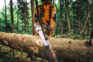STIHL MS 300 C-M Benzin-Motorsäge | .325″ RS Pro Schneidgarnitur 40 cm