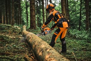 STIHL MS 300 C-M Benzin-Motorsäge | .325″ RS Pro Schneidgarnitur 40 cm